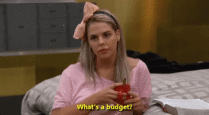 what is a budget